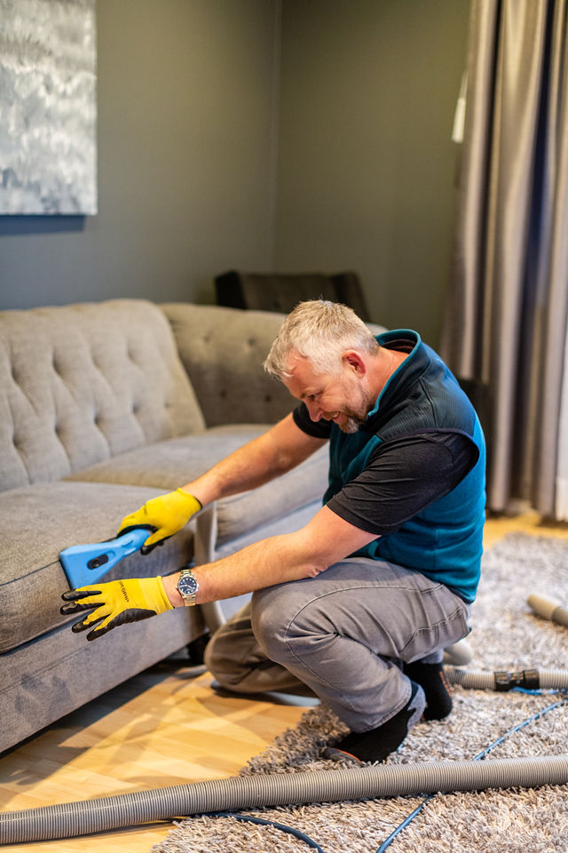 Upholstery Cleaner Portland