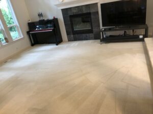 Clean carpets Hillsboro